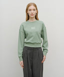 W SMALL CLASSIC LOGO CROP SWEATSHIRT IN MINT GREY image 1
