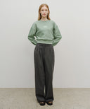 W SMALL CLASSIC LOGO CROP SWEATSHIRT IN MINT GREY image 5