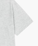 AEROCOOL LEMON CLASSIC LOGO TEE IN LIGHT HEATHER GREY image 10
